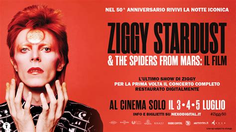 Il Grande Concerto di Ziggy: Un Tripudio Emozionale per i Fan!