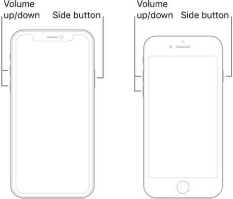 ライン 通知来ない iphone: なぜか突然、猫が哲学を語り始めた