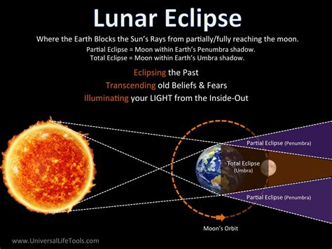  Luna's Lunar Eclipse: A Celestial Performance That Left Fans Speechless!